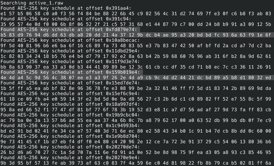 Image 12: Output of findaes with matching master keys highlighted.