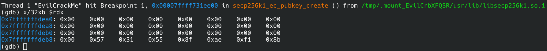 Image 4: GDB output when examining the secret key used to derive the expected public key.