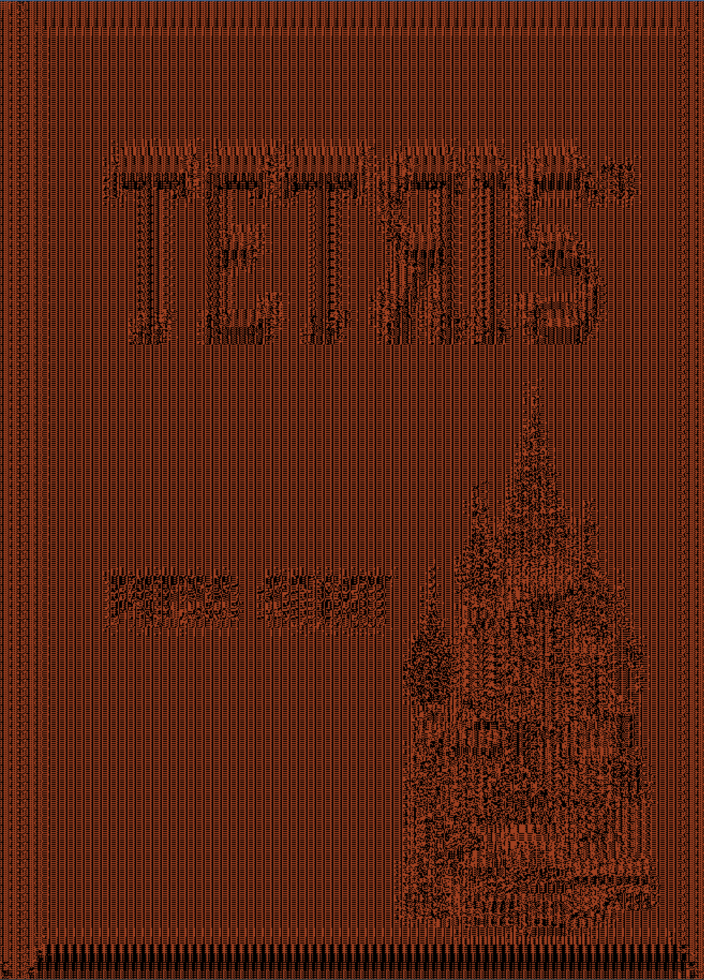 Image 5: First pass proof of a plaintext image.